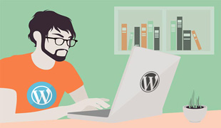 wordpress freelancer pune